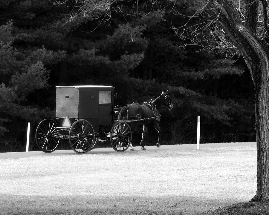 Horse and Buggy 1 Photograph by George Jones