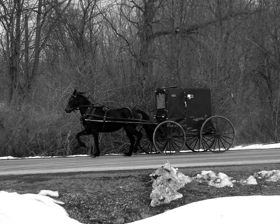 Horse and Buggy 2 Photograph by George Jones