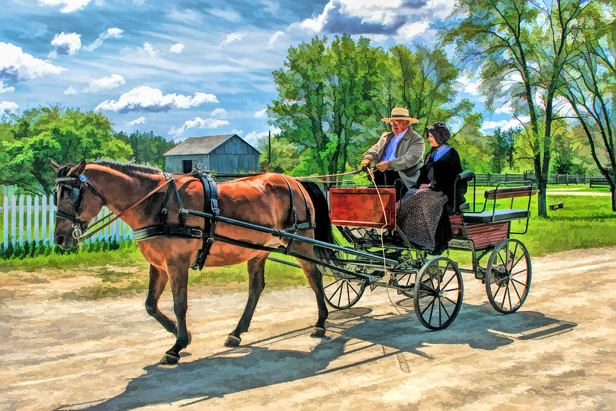 Horse and Buggy at Old World Wisconsin Painting by Christopher Arndt