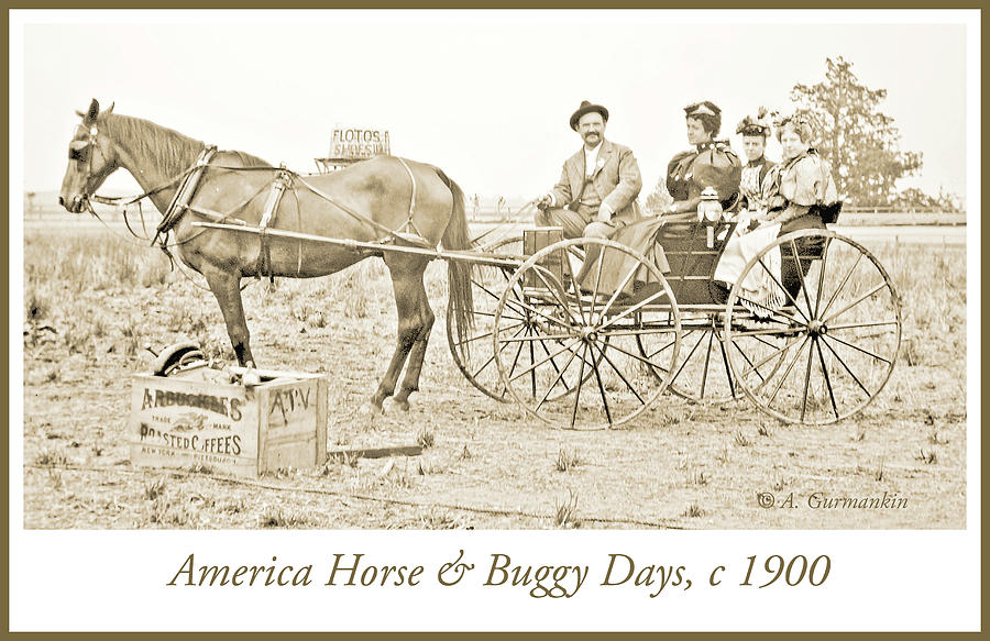 Horse and Buggy Days, American Genre Scene, c.1900, Vintage Phot Photograph by A Macarthur Gurmankin