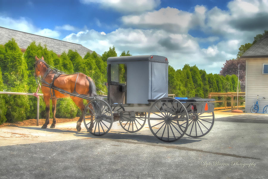 Horse and Buggy   Photograph by Dyle   Warren