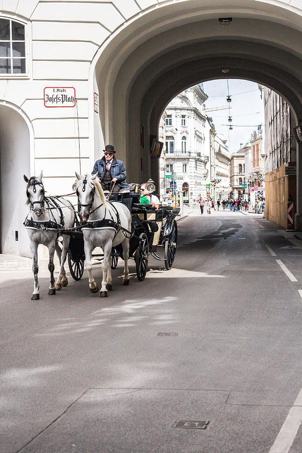 Horse and buggy in Austria Photograph by Lisa Lemmons-Powers | Fine Art ...