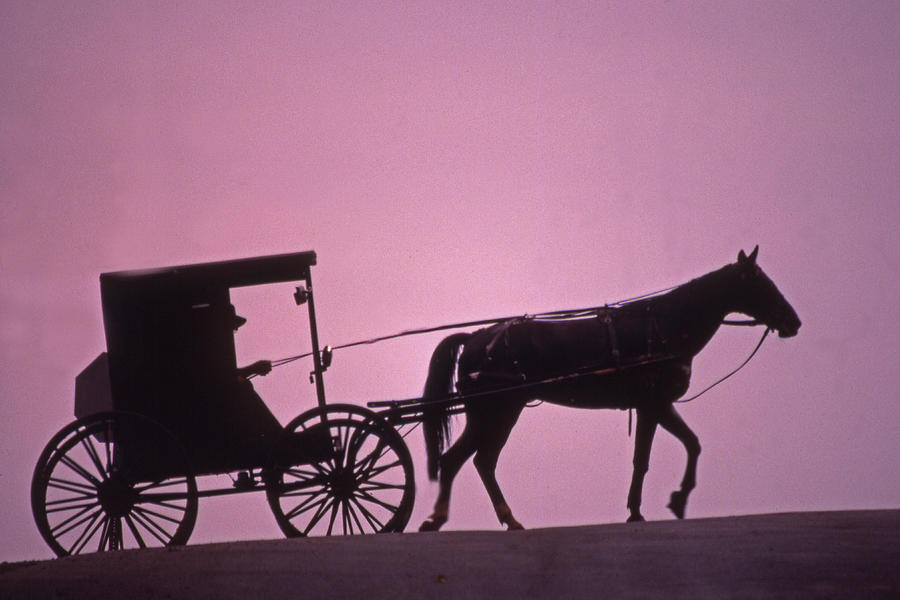 Horse and Buggy Silhouette Photograph by Blair Seitz