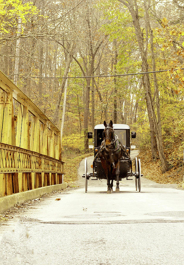Horse and Buggy Photograph by Susan Maxwell Schmidt