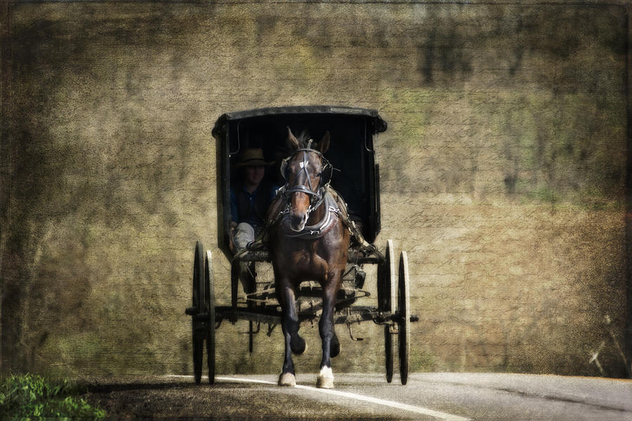 Horse and Buggy Photograph by Tom Mc Nemar