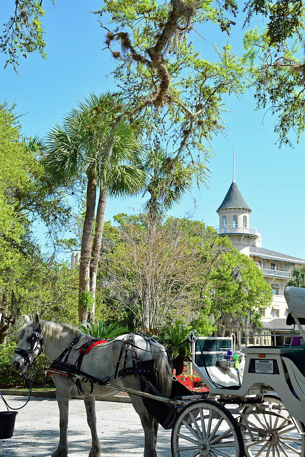 Horse and Carriage at Jekyll Island Club Hotel Photograph by Bruce Gourley