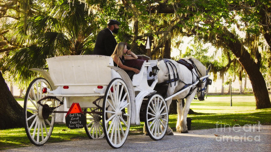 Horse and Carriage Photograph by Ella Kaye Dickey