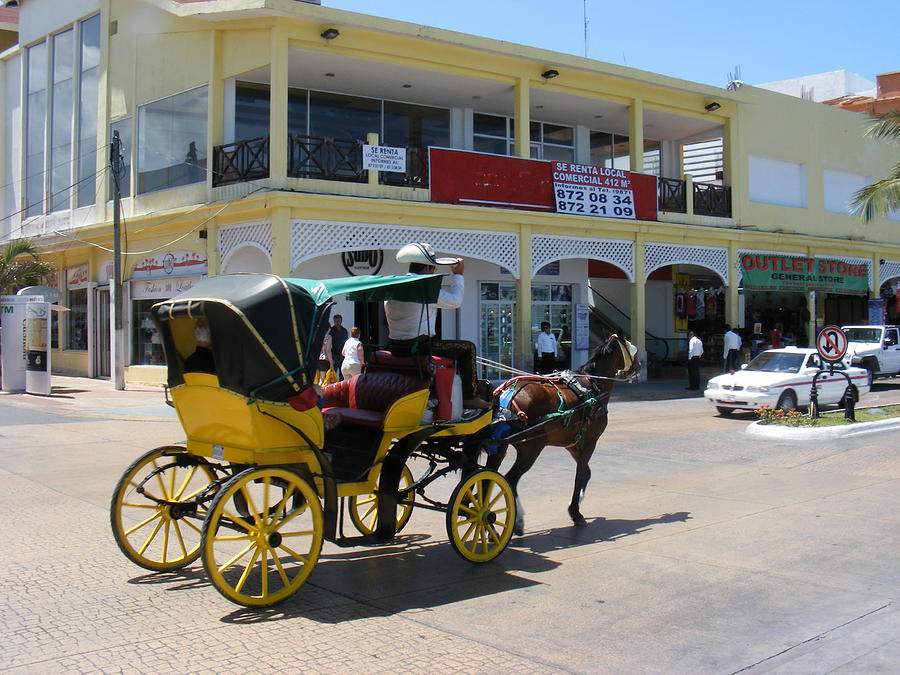 Horse and carriage in Cozumel Photograph by Nicholas Small