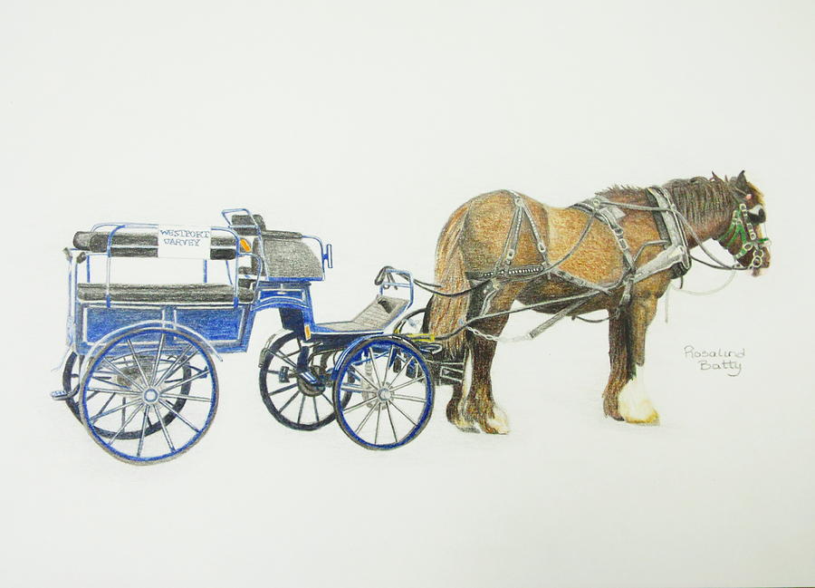 Horse and Carriage Drawing by Rosalind Batty Fine Art America