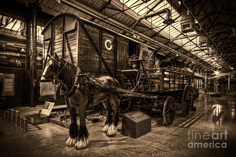 Horse and Cart Loading Train Photograph by Clare Bambers