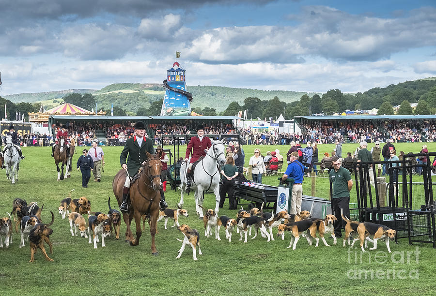 Horses and Hounds, English Country Fair Photograph by Philip Preston