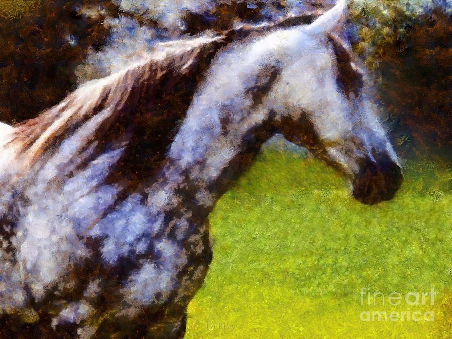 Horse Photograph - Horse And I will wait for you by Janine Riley