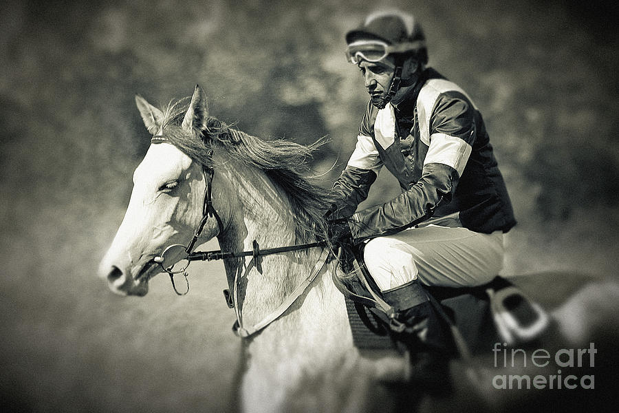 Horse and jockey Photograph by Dimitar Hristov