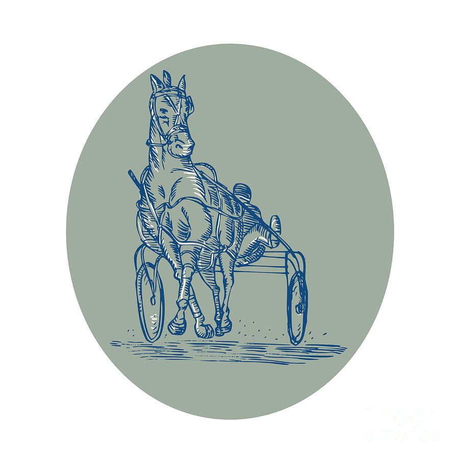 Vintage Digital Art - Horse and Jockey Harness Racing Etching by Aloysius Patrimonio