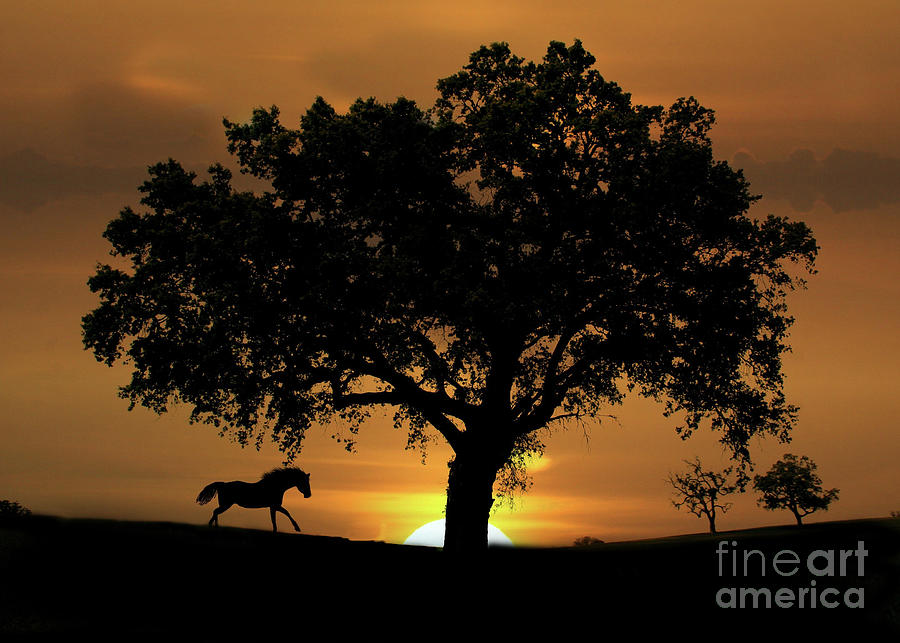 Horse and Oak Tree in Sunset, Serene Country, Running Horse Photograph by Stephanie Laird