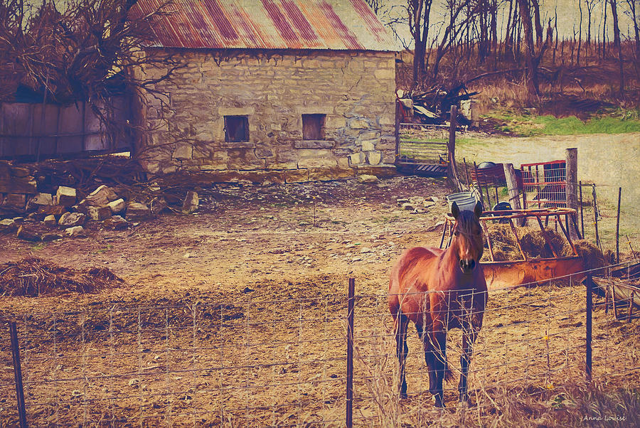 Horse and Old Stone Barn Photograph by Anna Louise