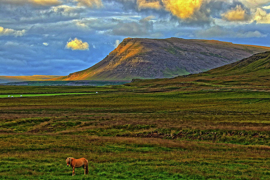 Horse and Sky Photograph by Scott Mahon