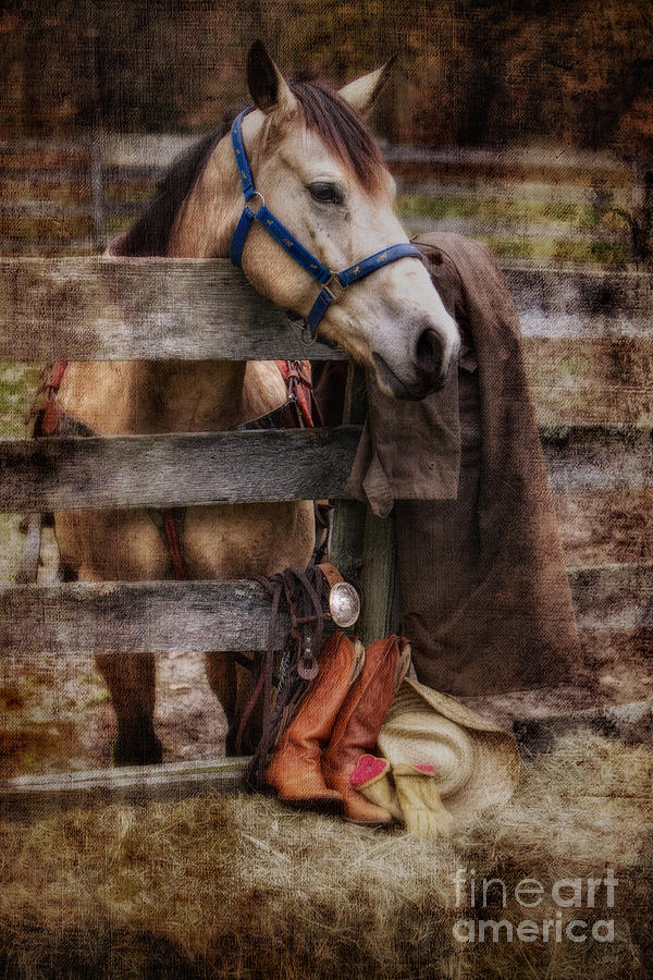 Horse and Tack Photograph by Jerry Fornarotto