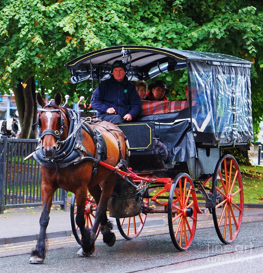 Horse And Trap In Killarney Photograph by Poet's Eye