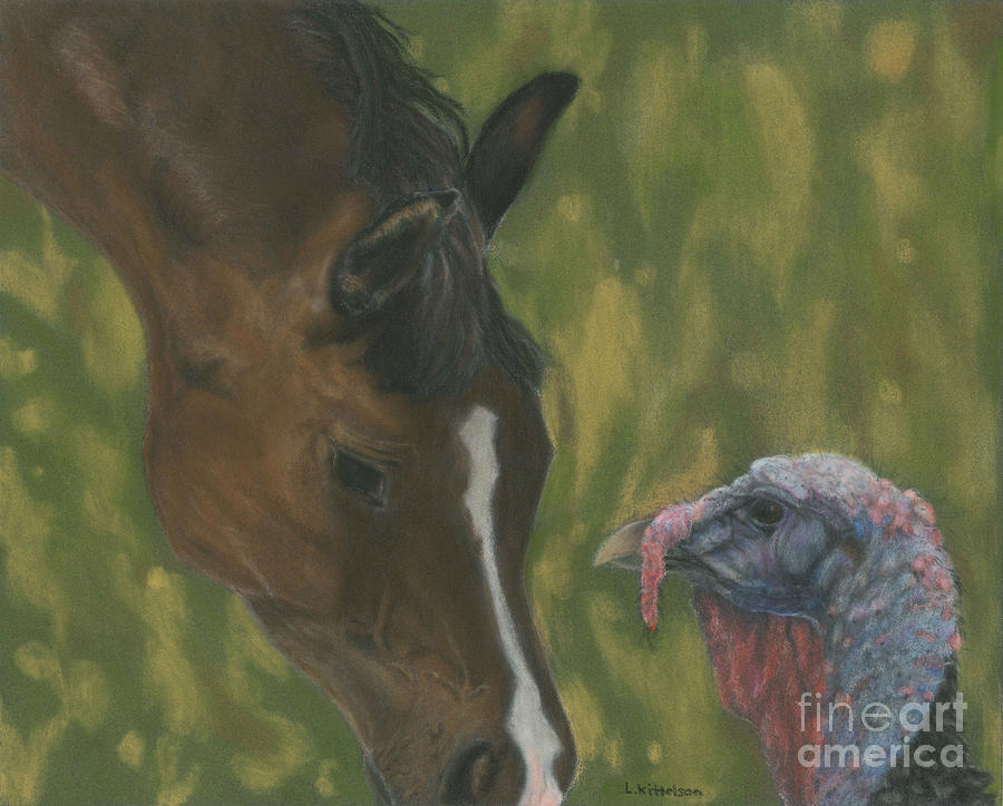 Horse And Turkey Drawing