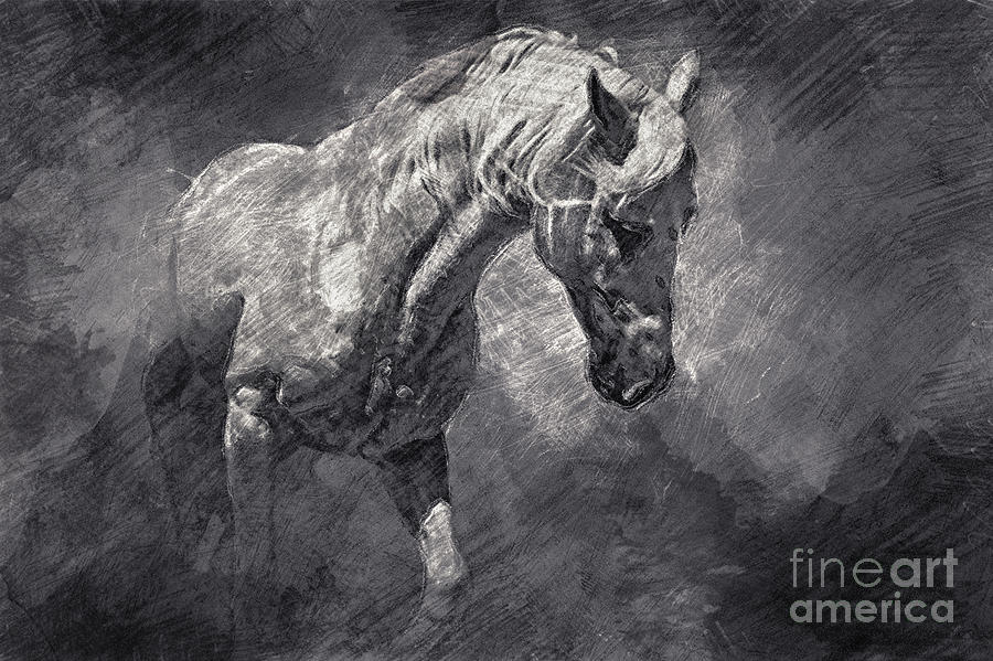Horse Art Drawing Drawing by Dimitar Hristov