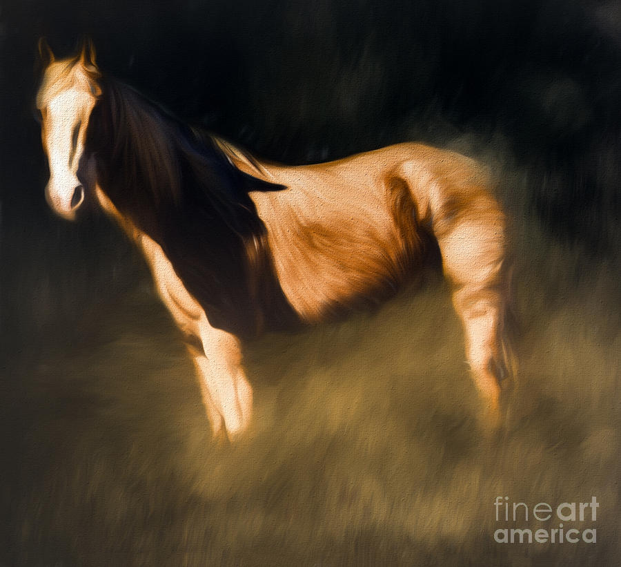 Horse Art Photograph by Mim White