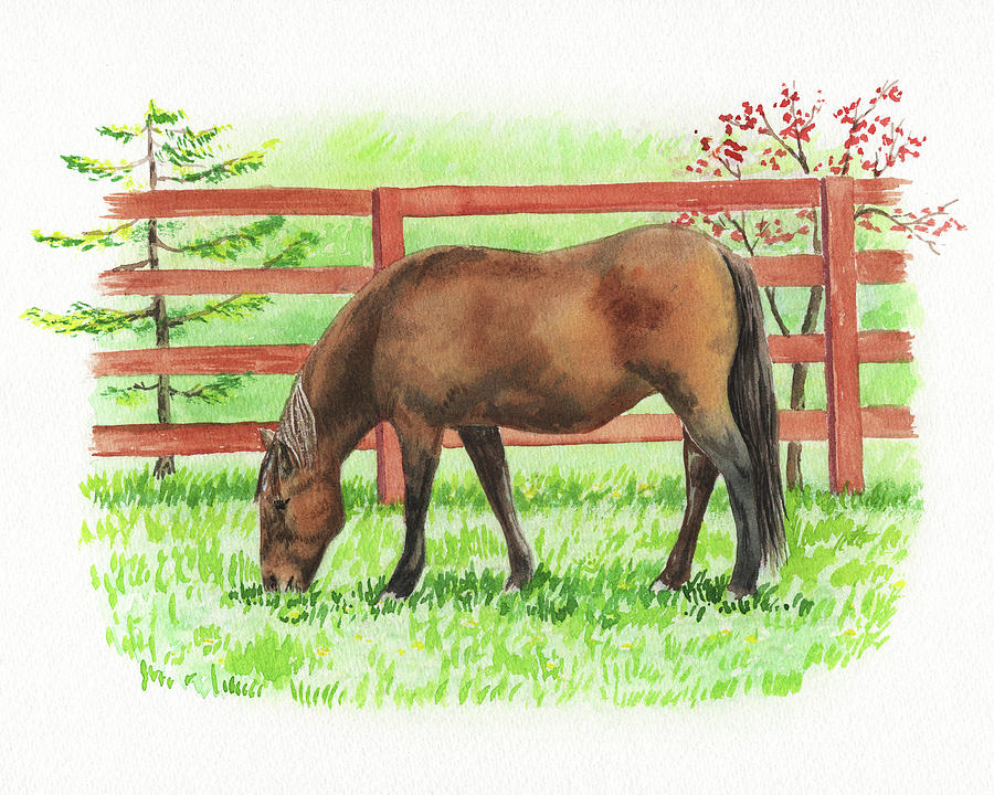 Horse At The Ranch Watercolor Painting Painting