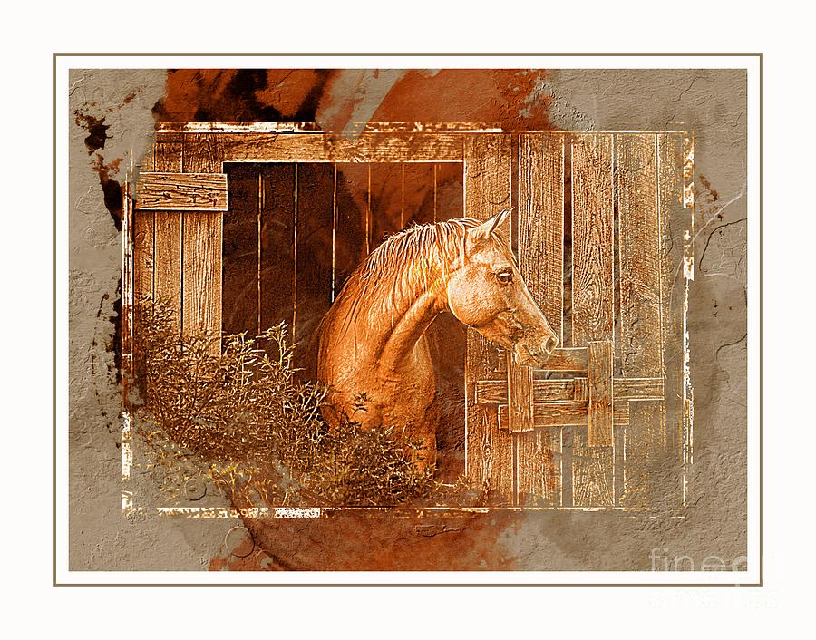 Horse Barn - Digital Paint 2 Photograph by Debbie Portwood