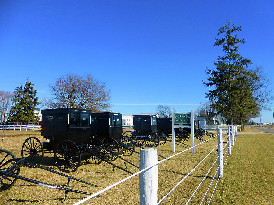 Horse Buggies For Sale Photograph by Tina M Wenger - Fine Art America