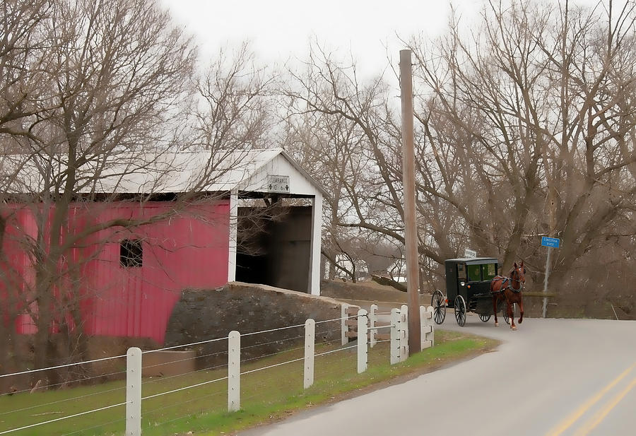 Horse Buggy and Covered Bridge Photograph by David Arment