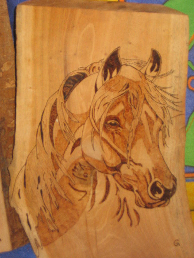 Horse Pyrography by Carlos Gayol - Fine Art America