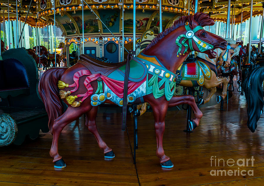 Horse Carousel NYC 8 Photograph by Ivan Santiago - Fine Art America