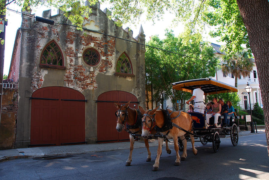 Horse Carriage at Kings Street Photograph by Susanne Van Hulst