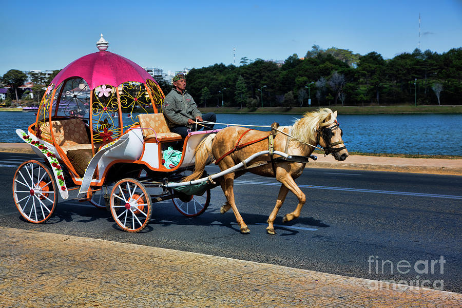 Horse Carriage Da Lat Vietnam  Photograph by Chuck Kuhn