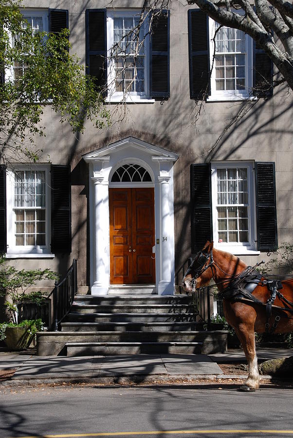 Architecture Photograph - Horse Carriage in Charleston by Susanne Van Hulst
