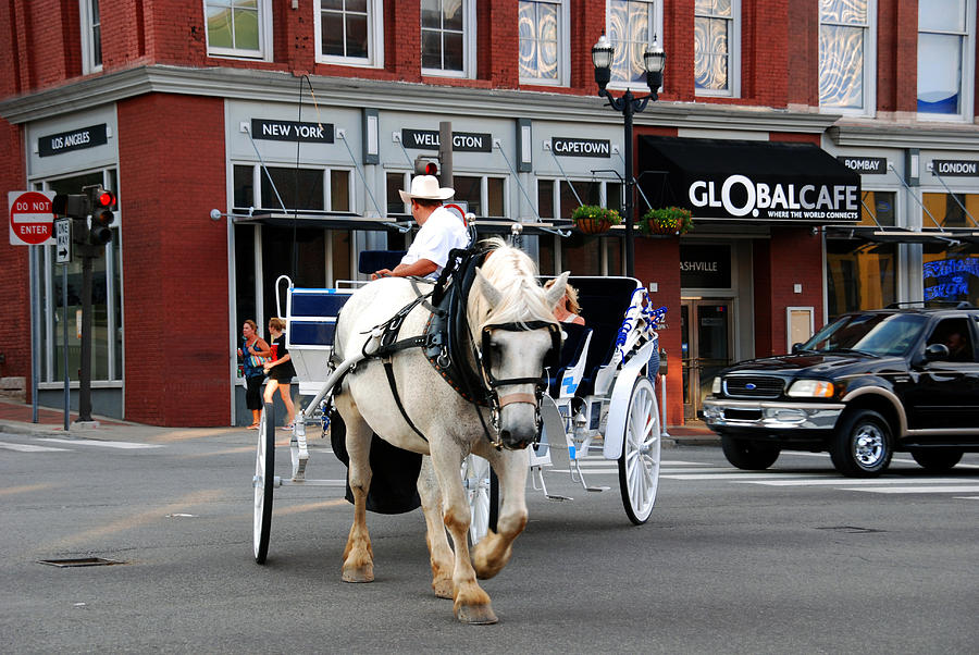 Horse Carriage in Nashville Photograph by Susanne Van Hulst