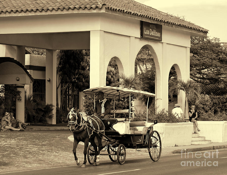 Vintage Photograph - Horse Carriage - in sepia by Les Palenik