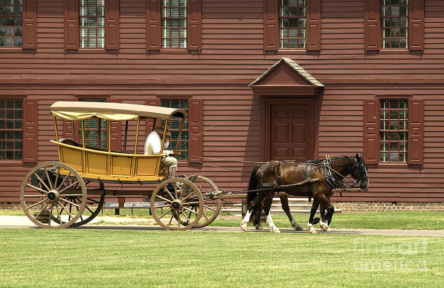 Horse Carriage  Photograph by Raymond Earley