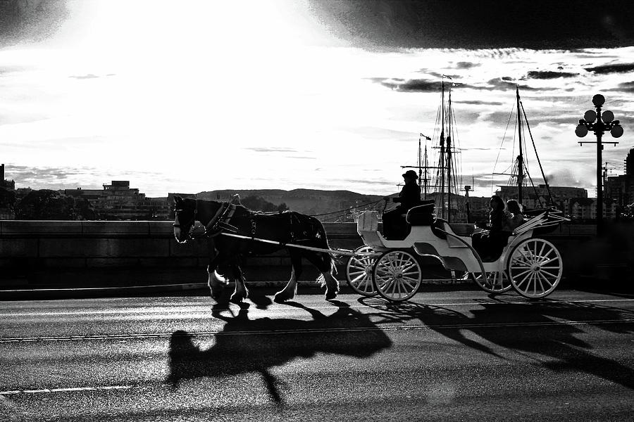 Horse Carriage Sunset Photograph by Brian Sereda
