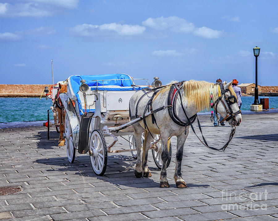 Horse cart for tourists in Xania, Crete Photograph by Patricia Hofmeester