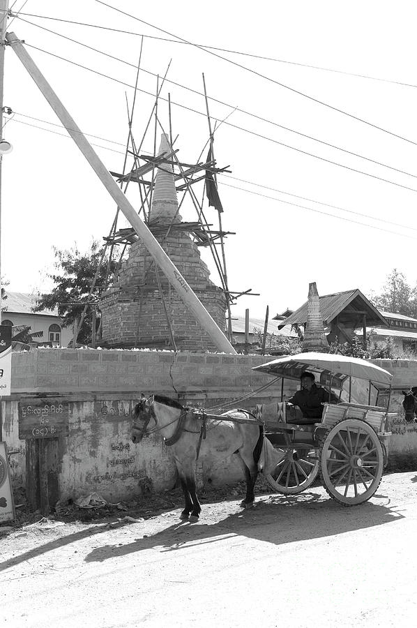 Horse Cart Station Photograph