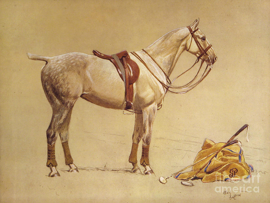 Horse Painting by Celestial Images
