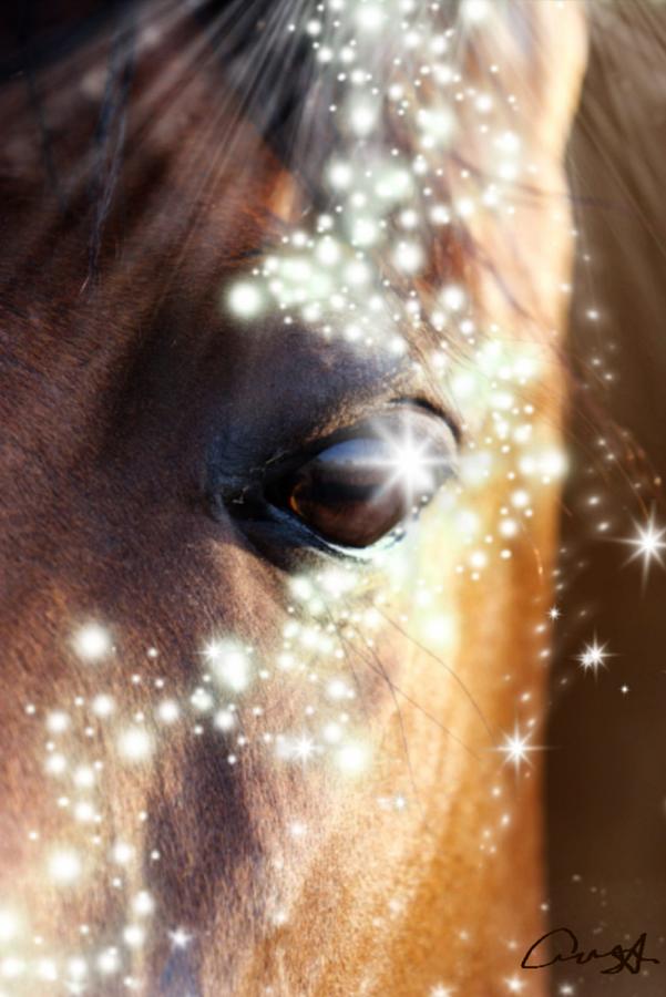 Horse Digital Art by Cepiatone Fine Art Callie E Austin Horse Digital Art by Cepiatone Fine Art Callie E Austin