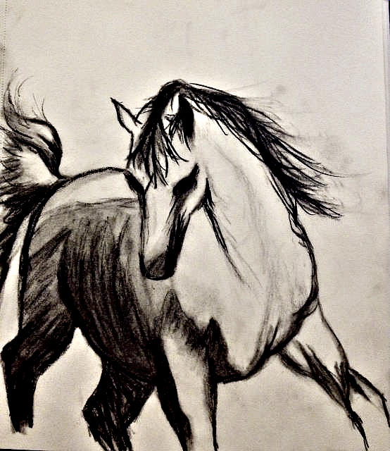 Charcoal Painting Horse On Canvas Draw Stock Illustration 1390841753   Shutterstock