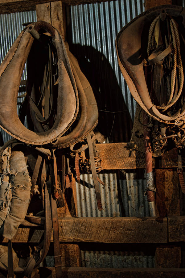 Horse Collars Photograph by Alana Thrower