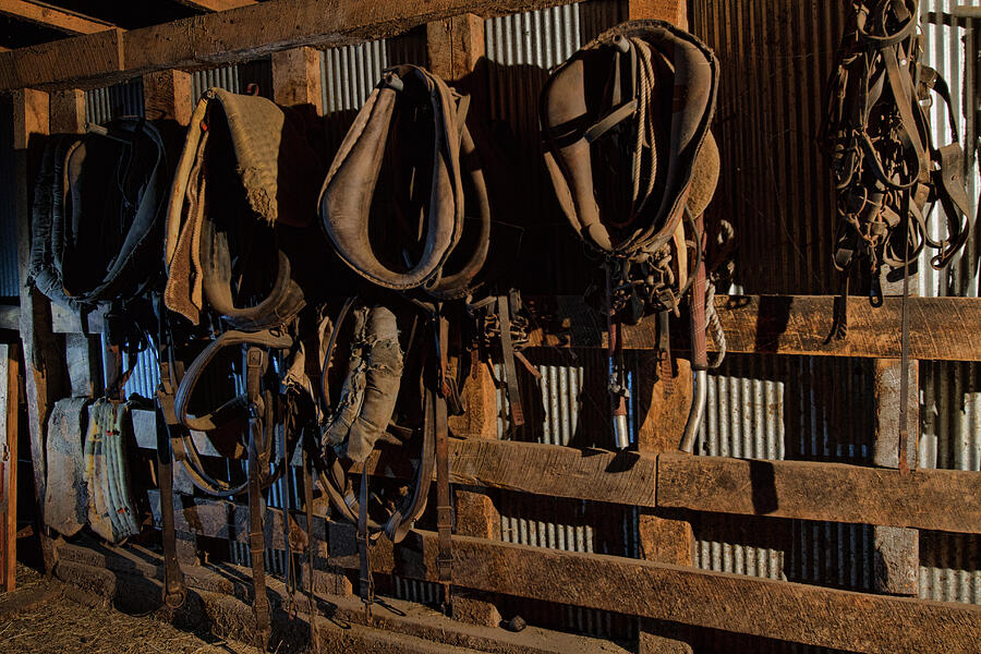 Horse Collars and Harness Photograph by Alana Thrower