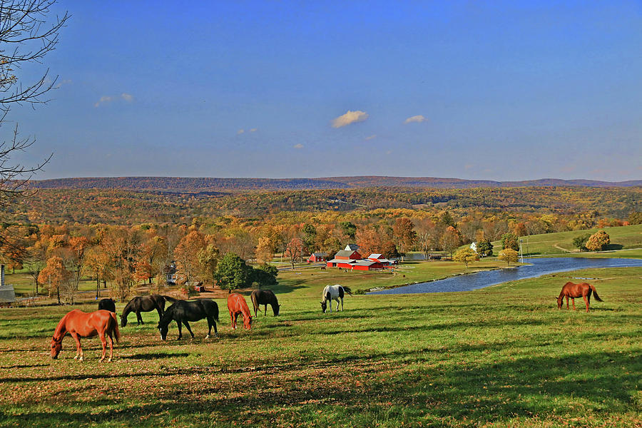 Horse Country # 4 Photograph by Allen Beatty