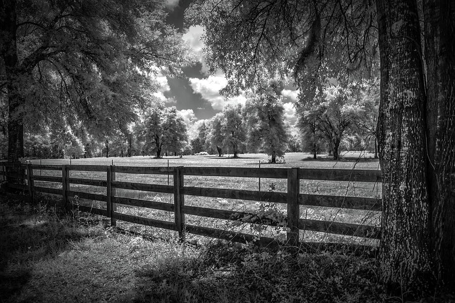 Horse country Photograph by Louis Ferreira