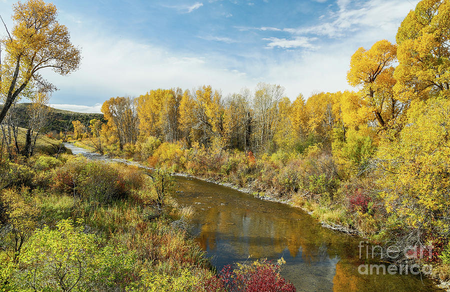 Horse Creek Photograph By Dr Gary Guest - Fine Art America