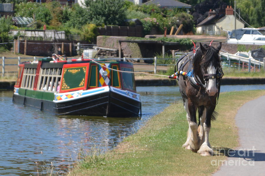 Horse Drawn Barge Photograph by Andy Thompson